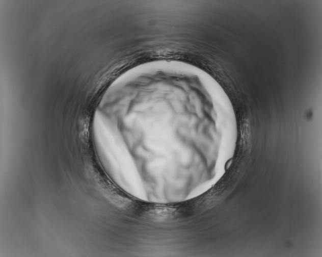 X0000115520278200911271329