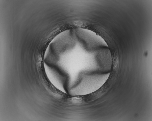 X0000115520279200911271329