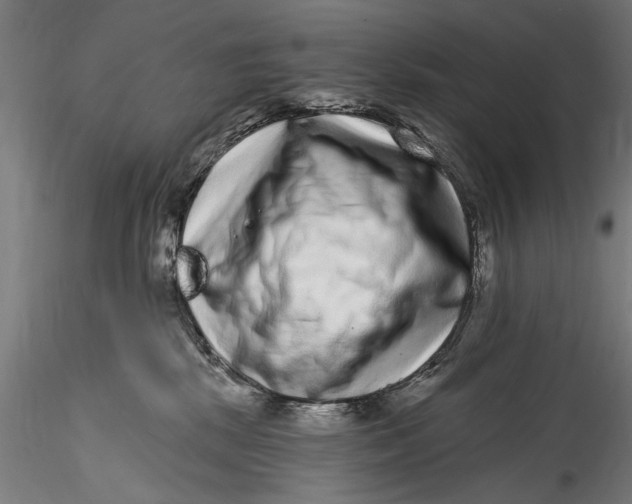 X0000115520281200911271329