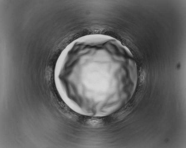 X0000115520283200911271329