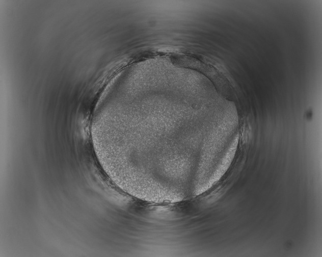 X0000115520285200911271329