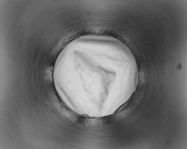 X0000115520286200911271329