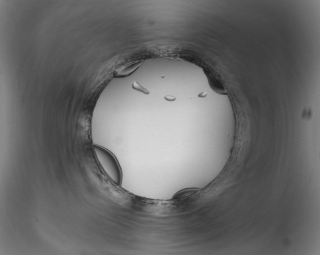 X0000115520288200911271330