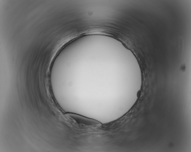 X0000115520289200911271329