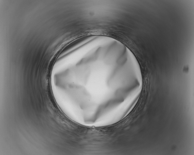 X0000115520290200911271329