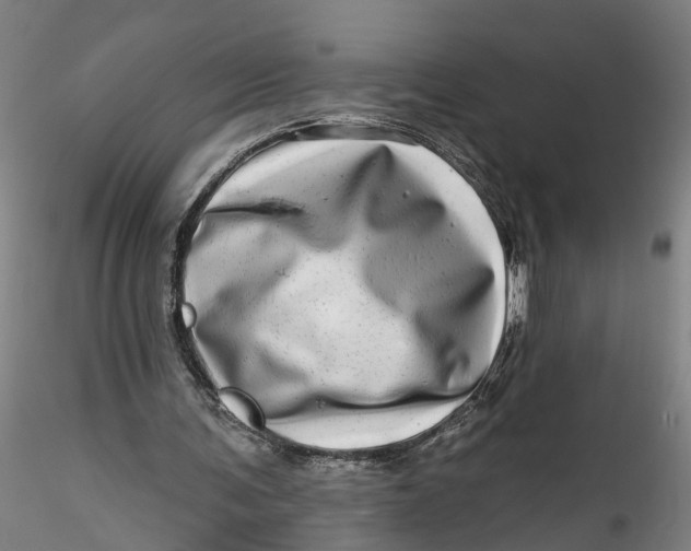 X0000115520291200911271329