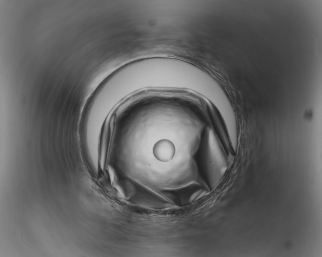 X0000115520292200911271329