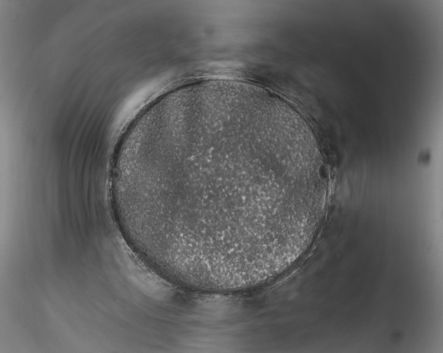 X0000115520293200911271329