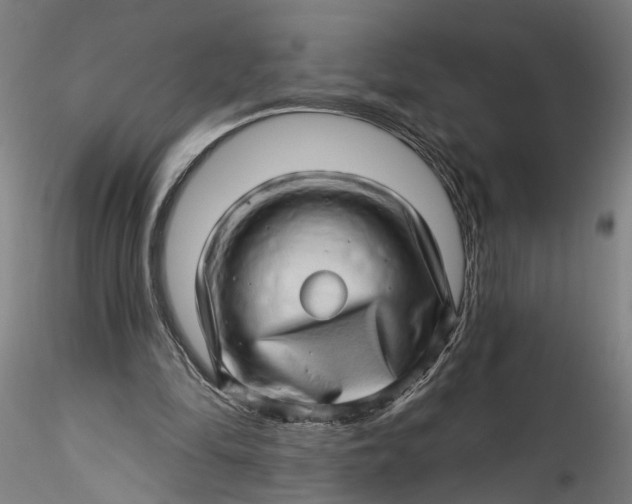 X0000115520294200911271329