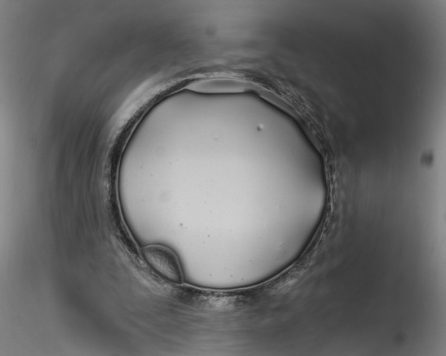 X0000115520295200911271329