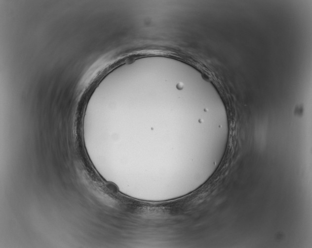 X0000115520296200911271329