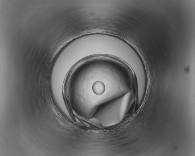 X0000115520297200911271329