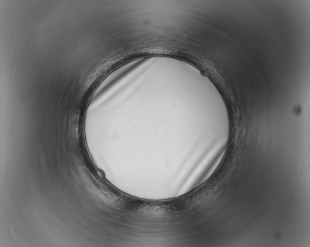 X0000115520299200911271329