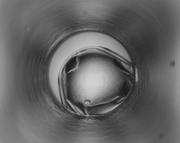 X0000115520300200911271329