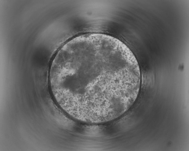 X0000115520301200911271329