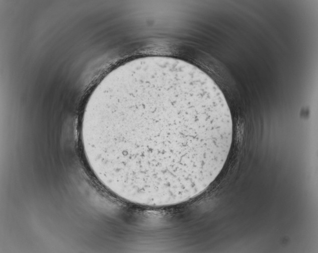 X0000115520302200911271329