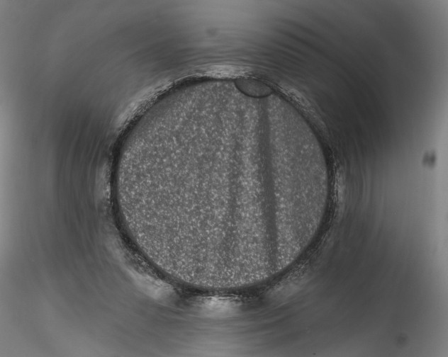 X0000115520303200911271329