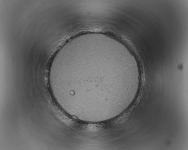 X0000115520305200911271329