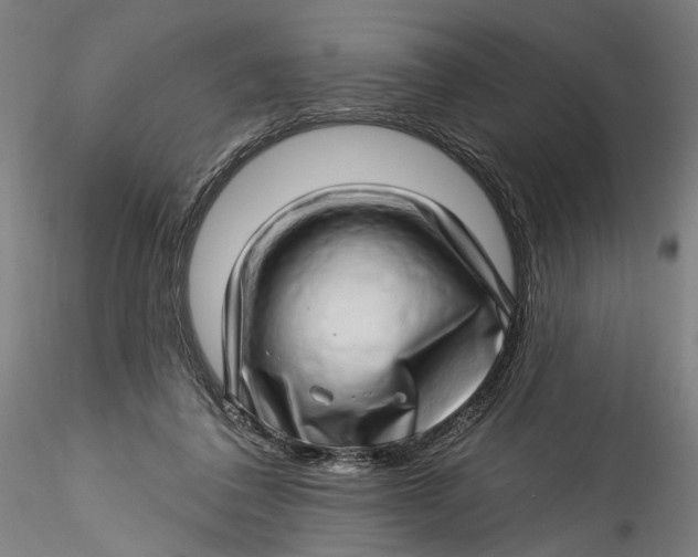 X0000115520308200911271329