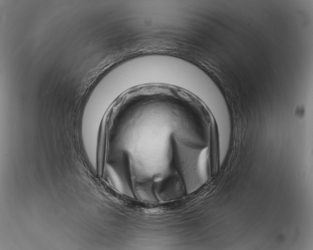 X0000115520309200911271329