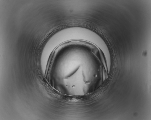 X0000115520312200911271329