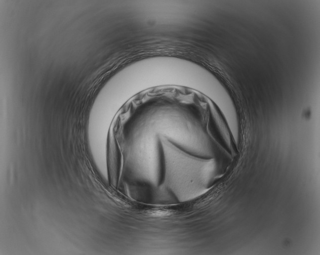 X0000115520313200911271329