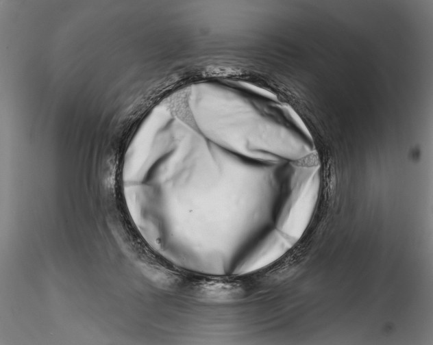 X0000115520315200911271329