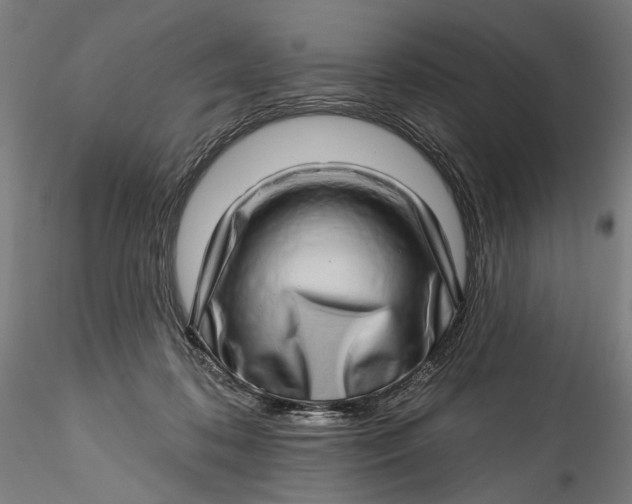 X0000115520316200911271328