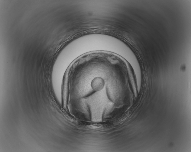 X0000115520317200911271328