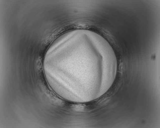 X0000115520318200911271328