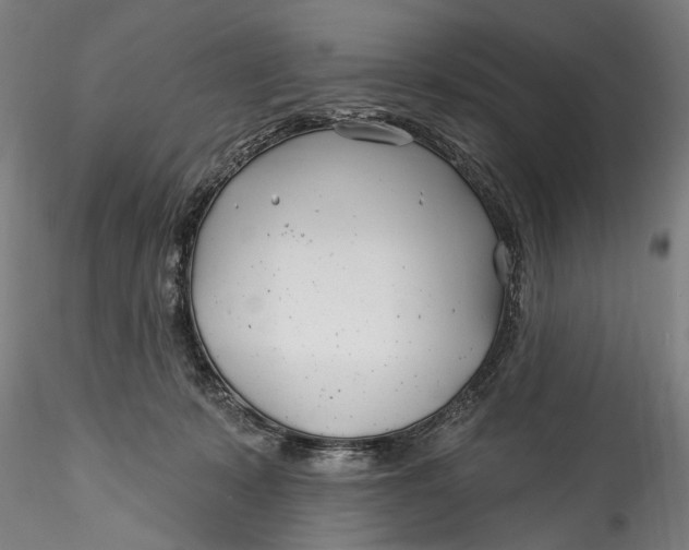 X0000115520319200911271328