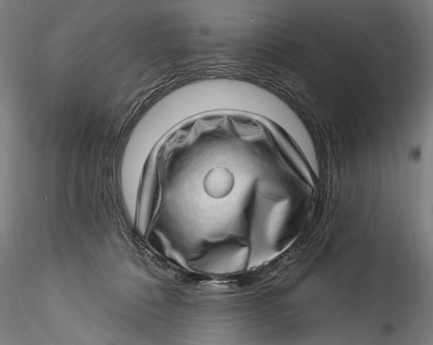 X0000115520320200911271328