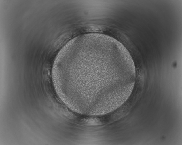 X0000115520322200911271328