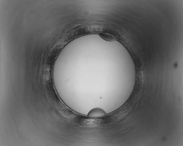 X0000115520323200911271328