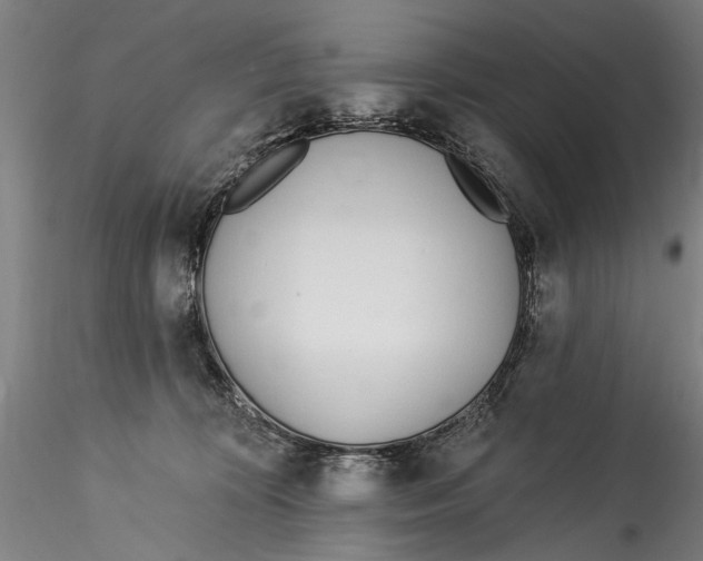 X0000115520324200911271328