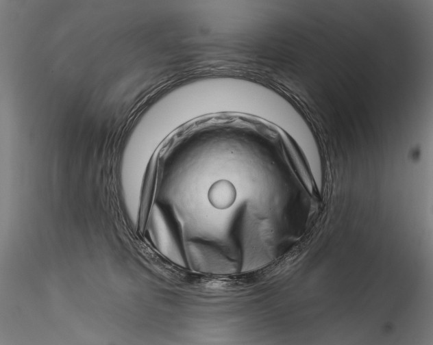 X0000115520325200911271328