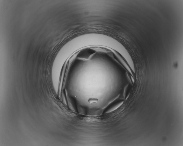 X0000115520327200911271328