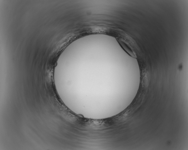 X0000115520329200911271328