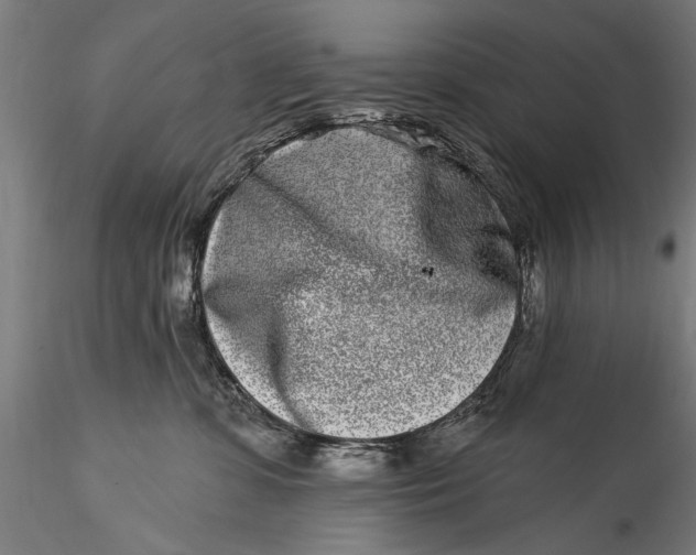 X0000115520331200911271328