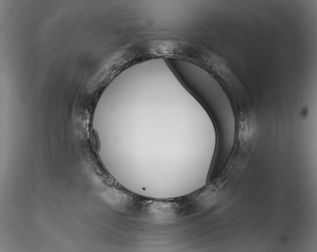 X0000115520332200911271328