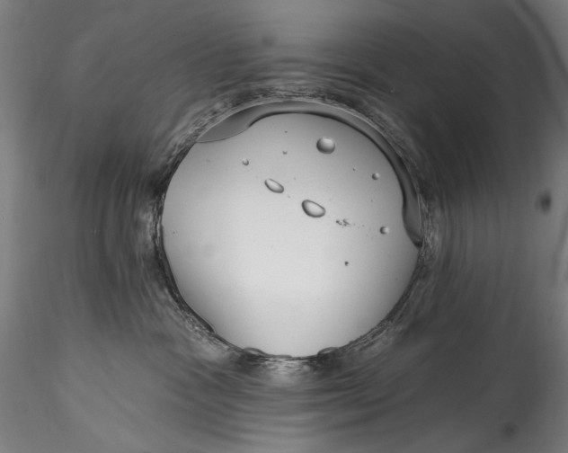 X0000115520333200911271328