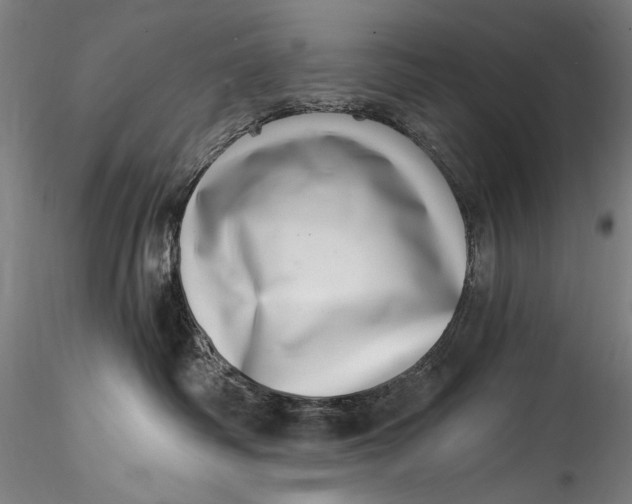 X0000115520334200911271328