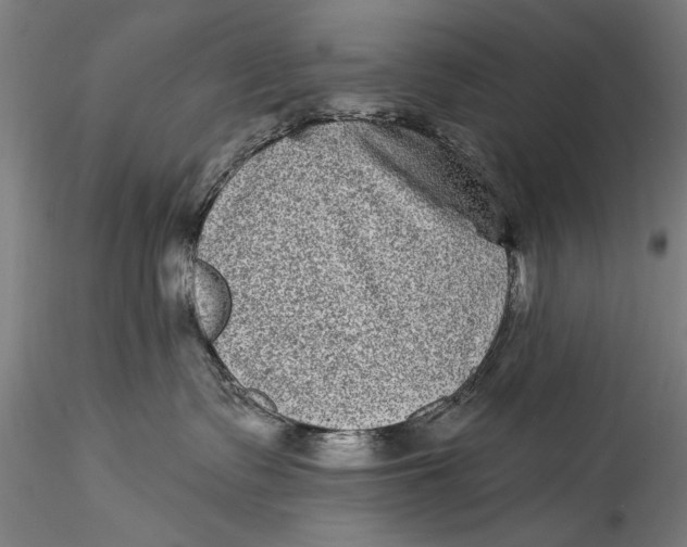 X0000115520335200911271328