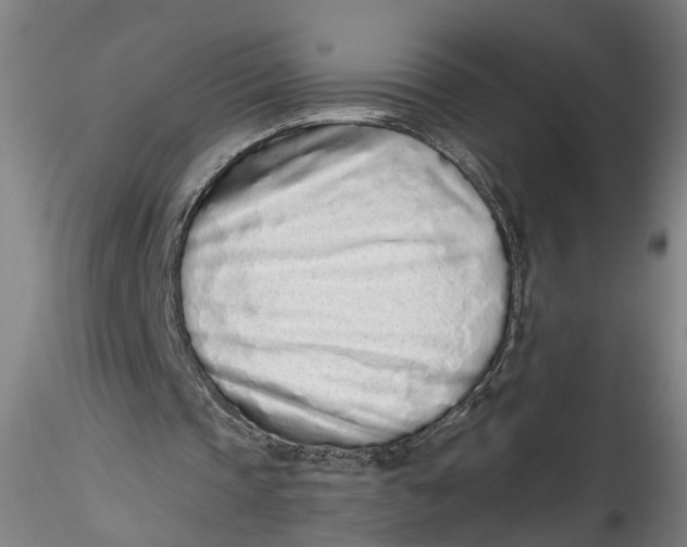 X0000115520337200911271328