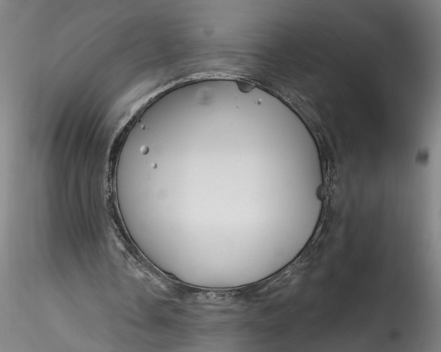 X0000115520338200911271328