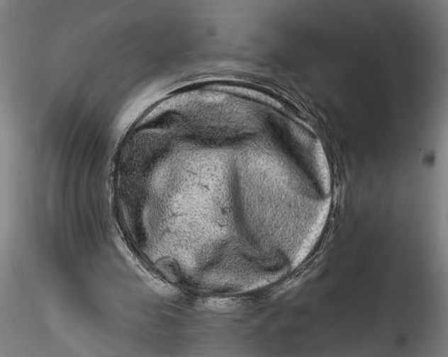 X0000115520341200911271328