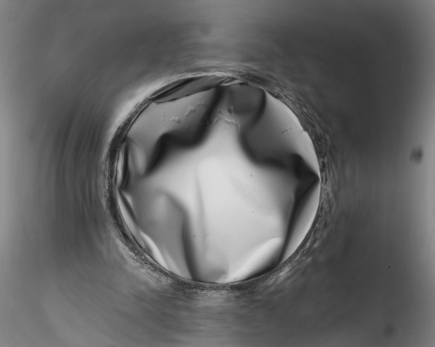 X0000115520342200911271328