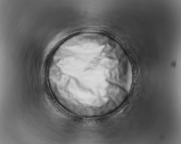 X0000115520343200911271328