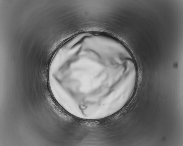 X0000115520345200911271328