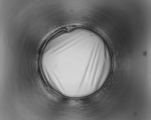 X0000115520346200911271328